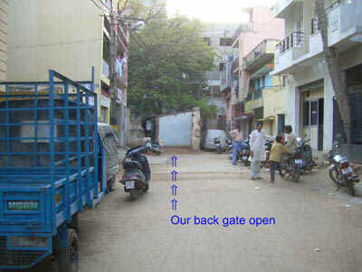 4back gate.jpg (46447 bytes)