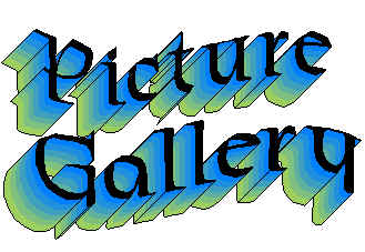 exhibi4.jpg (17107 bytes)